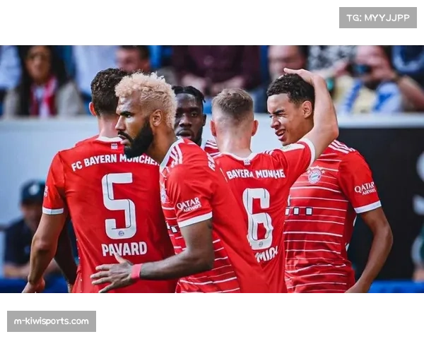 德甲联赛竞争格局悄然质变，资本精准赋能俱乐部冲击传统秩序