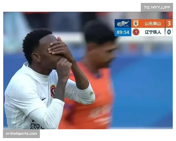 辽宁铁人热菲尼奥瓦吉奇 外援身价领跑彰显冲超野心